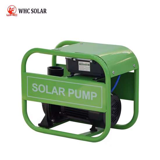 Pompe d'irrigation solaire sans balais DC, pompe Submersible électrique de 2 pouces pour prise d'eau agricole